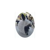 Kaskmania Açık Kask Kılıfı Laci Rabbit Kaskmanıa. - Beyaz - Standart