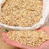 Kastamonu Siyez Buğdayı Kabuklu 5Kg