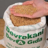 Kastamonu Siyez Buğdayı Taneli 25Kg