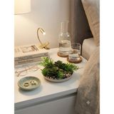 Kastasaksı 1 Adet 15X10 cm Skulentli Tabak Veya Duvar Dekorlu Modern Dekoratif Saksı - Krem