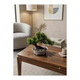 Kastasaksı 20x27 cm yapay bonzai ağaçlı modern dekoratif saksı