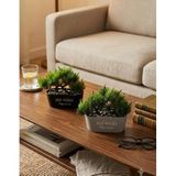 Kastasaksı 2'li Set 20x16 cm Bonzai Yapay Bitkili Modern Dekoratif Saksı, Siyah
