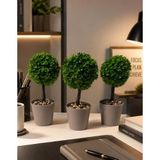 Kastasaksı 3 Adet 18x8 cm Bitkisiz Mini Top Şimşir Bej Ofis, Yemek ve Cafe Masası için Modern Dekoratif Ürün