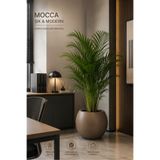 KastaSaksı 30x40 cm plastik mocca rengi modern dekoratif saksı