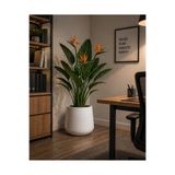 KastaSaksı 34x28 cm plastik beyaz modern yuvarlak konik saksi