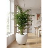 Kastasaksı 37X37 cm 25 Litre Plastik Amorf Modern Büyük Boy Modern Yapay / Canlı Çiçek Saksısı - Dekoratif Antre ve Salon Saksısı - 01-Beyaz