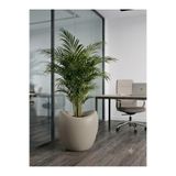 Kastasaksı 37x37 cm 25 litre plastik mocca amorf modern Büyük Boy Modern Yapay / Canlı Çiçek Saksısı - Dekoratif Antre Ve Salon Saksısı