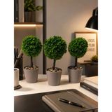 Kastasaksı 3ADET 18X8 cm Bitkili Mini Top Şimşir Ofis Masası Yemek Cafe Masası Için Modern Dekoratif - Bej
