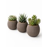 Kastasaksı 3'lü Modern Saksı Seti, 1,2 Litre, Mercan Kahverengi, Plastik, Yuvarlak, 20-25 cm Yükseklik, 10-15 cm Genişlik