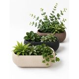 Kastasaksı 3'lü Uzun Saksı Seti, 1,3 Litre, Karışık Renkli, Plastik, Dikdörtgen, 25-30 cm