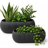 Kastasaksı BİTKİSİZ 1 takım 1 ve 2 No Lu Uzun ANTRASİT modern Mercan Kaktüs Sukulent Ve Çiçek Saksısı