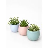 Kastasaksı Dekoratif İskandinav Mini Saksı Seti, 8x7 cm, Pembe, Plastik, Kaktüs ve Sukulent Bitkiler için, 3'lü