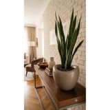 Kastasaksı mocca rengi 30x29 cm Bitkisiz 20 litre plastik amorf modern dekoratif saksi