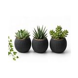 Kastasaksı Modern Dekoratif Bitki Saksı Seti, 3 Adet, 0,70 Litre, Antrasit, Plastik, Yuvarlak