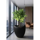KastaSaksı Modern İç ve Dış Mekan 43x45 cm SİYAH Polyester Beton Dokulu Yuvarlak Dekoratif Saksı