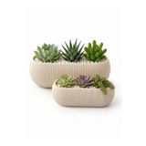 Kastasaksı Modern Krem Plastik Uzun Dikdörtgen Kaktüs ve Sukulent Çiçek Saksısı Seti, 1 ve 2 No, 25-30 cm
