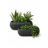 Kastasaksı Modern Uzun Kaktüs Sukulent ve Çiçek Saksısı, 1 Takım, Antrasit, Plastik, Dikdörtgen, 25-30 cm