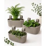 Kastasaksı Pera Modern Balkon ve Küpeşte Saksısı 3,2 Litre Krem Plastik Askılı Dikdörtgen 3'lü Set