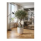 Kastasaksı Plastik Beyaz Yivli İçlikli Saksı 38x36 cm - İç Çap 33 cm Büyük Boy Dekoratif Çiçeklik