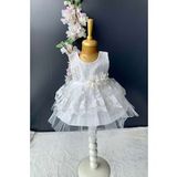 Kat Dantelli Gül Motif Kız Bebek Elbise PNPN159