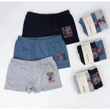 Katamino Winden 2Li Erkek Boxer K128638 Asorti