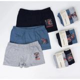 Katamino Winden 2Li Erkek Boxer K128638 Karışık Renk