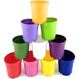 Katı Plastik Sukulent Saksısı 10 Adet Açık Yeşil 8.5 Cm