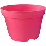 Katı Plastik Sukulent Saksısı 10 Adet Pembe 8.5 Cm