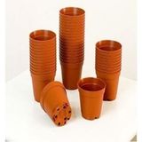 Katı Plastik Sukulent Saksısı 20 Adet Kahverengi 5.5 Cm