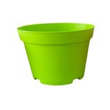 Katı Plastik Sukulent Saksısı 20 Adet Yeşil 8.5 Cm