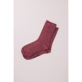 Katia & Bony Erkek Bordo Renkli Modal Soket Çorap - 00-Kırmızı - 35 - 39