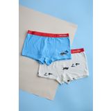 Katia & Bony Erkek Çocuk 2'Li Paket Safari Boxer Ekru,6-7 Yaş