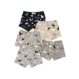 Katia & Bony Erkek Çocuk 5'Li Dinozor Desenli Boxer 2 Yaş, 2 Yaş, 12503G1071, ÇOK RENKLİ, erkek-çocuk