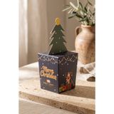 Katia&Bony Unisex Marry Christmas Kutulu Geyik Desenli Soket Yılbaşı Çorabı
