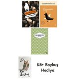 Katip Bartleby + Değirmen + Yaslı Mızıka + Kör Baykuş