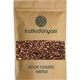 Katkı Dünyası 100 gr Kırmızı Kinoa Tohumu