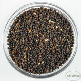 Katkı Dünyası 250 gr Siyah Kinoa Tohumu