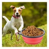 Katlanabilir Kedi Köpek Mama ve Su Kabı Köpek Oyuncağı (Yeşil)