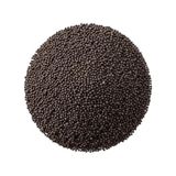 Katzoo Rapiska (Kanola Tohumu) - 1kg