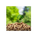 Kavi %100 Doğal Katkısız Çam Peleti Kedi Kumu 15kg