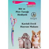 Kavisli Rainbow Evcil Hayvan Tasarım Makası ve Tarağı Seti Hediyeli