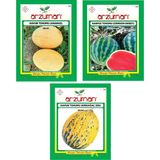 Kavun Ananas Crimson Sweet Karpuz Kavun Kırkağaç 589 Tohumu