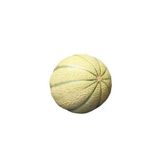Kavun Ondilim Tohumu Paket 25 gram