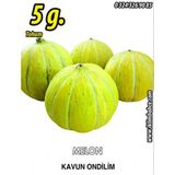 Kavun Tohumu On Dilim 5 g (~ Takribi 70 Tohum)