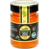 Kayadibi Organik Polifloralı Süzme Çiçek Balı 450 gr - Doğal Bal | Katkısız & Saf | Yüksek Enerji ve Doğal Antibakteriyel