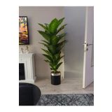 KAYAX Yapay Cicek Yapay Agac Difenbahya 160 Cm kg-0003.