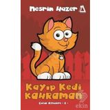 Kayıp Kedi Kahraman - Linda Newbery
