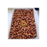 KAYISICENTER Toptan Bağdat Hurma (Zahidi) 10 Kg