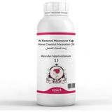 Kazan Hobi Elito At Kestanesi Maserasyon Yağı Aesculus Hippocastanum 1 Litre