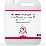 Kazan Hobi Elito At Kestanesi Maserasyon Yağı Aesculus Hippocastanum 5 Litre